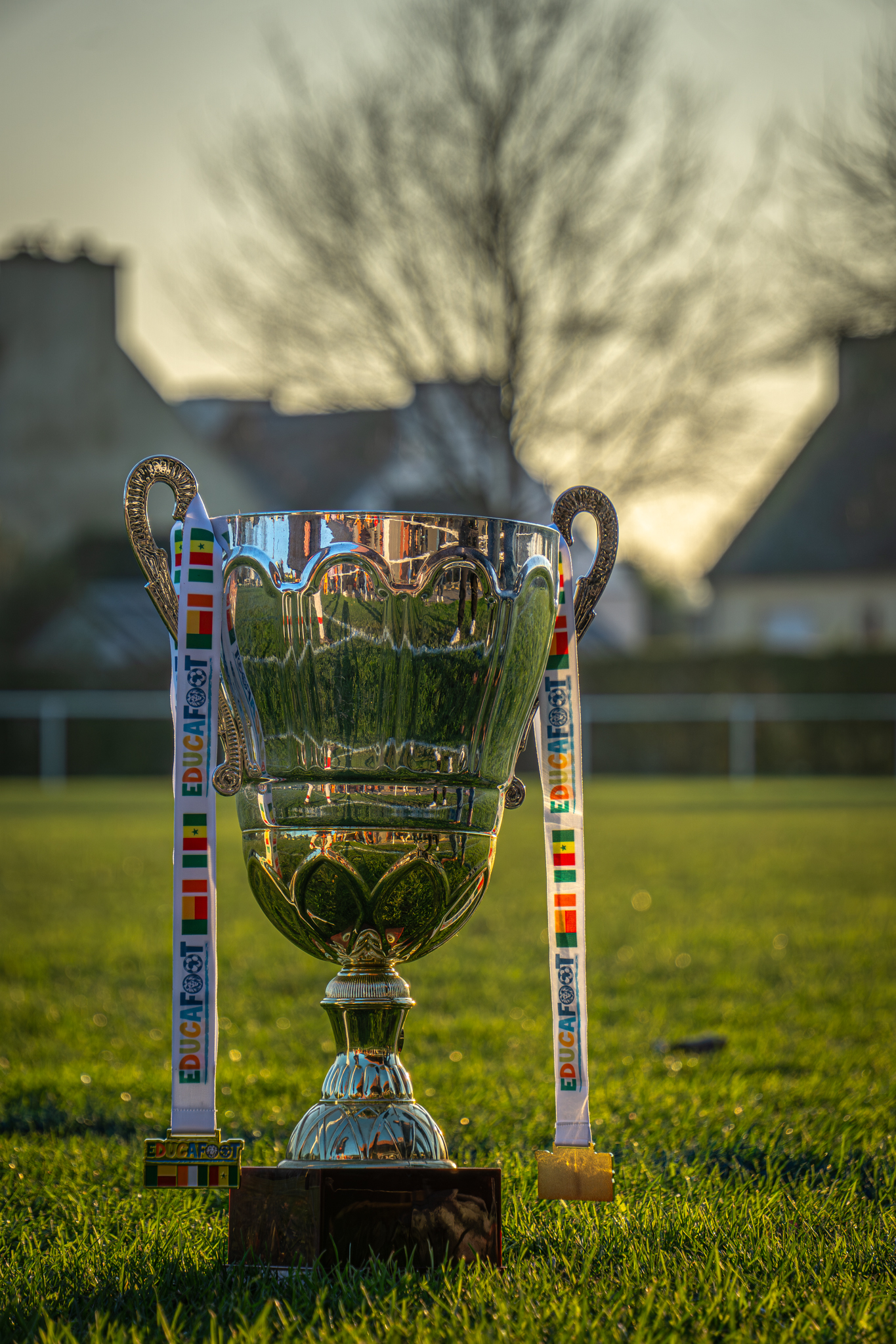 Sharko Visuals Portfolio