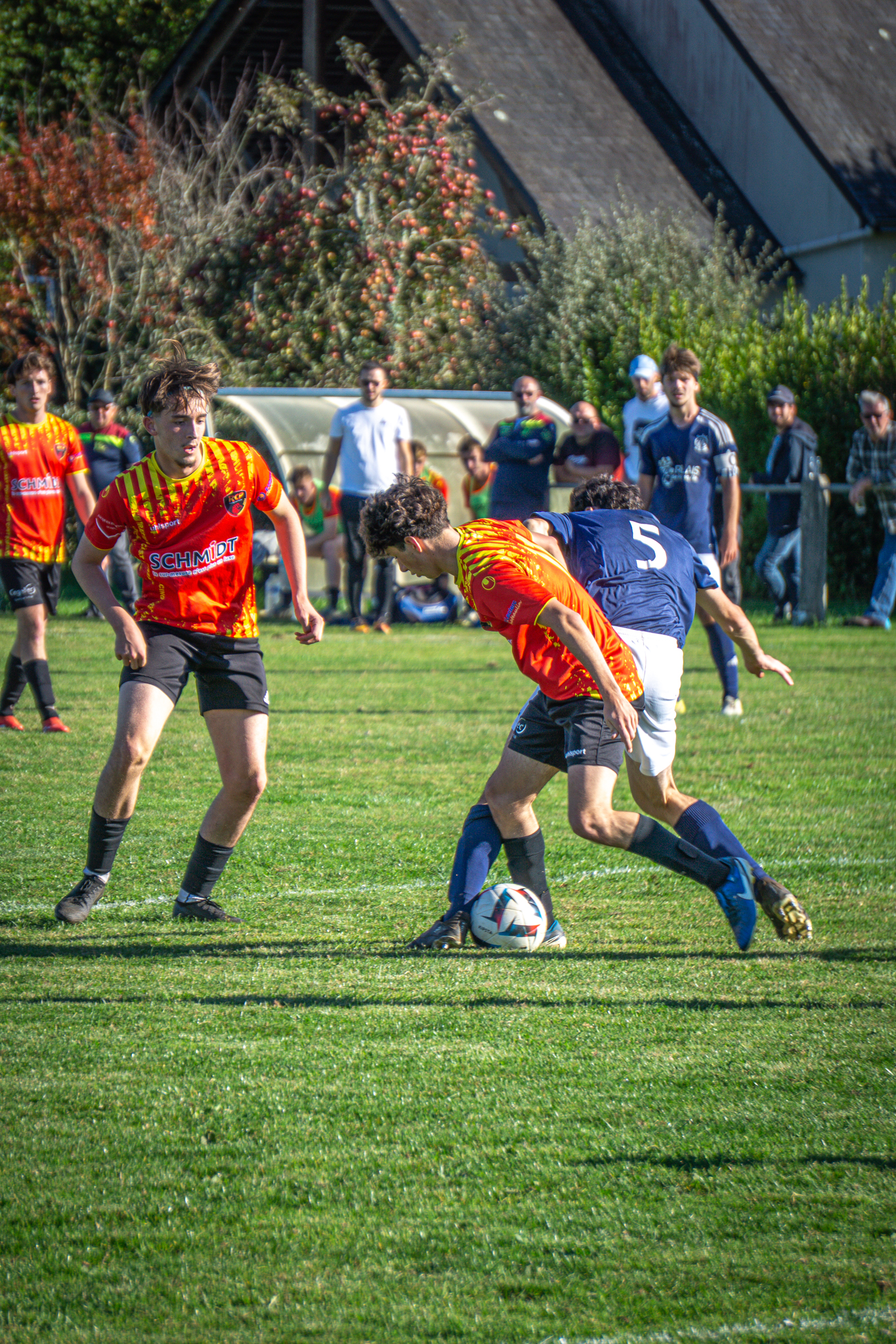 Sharko Visuals Portfolio