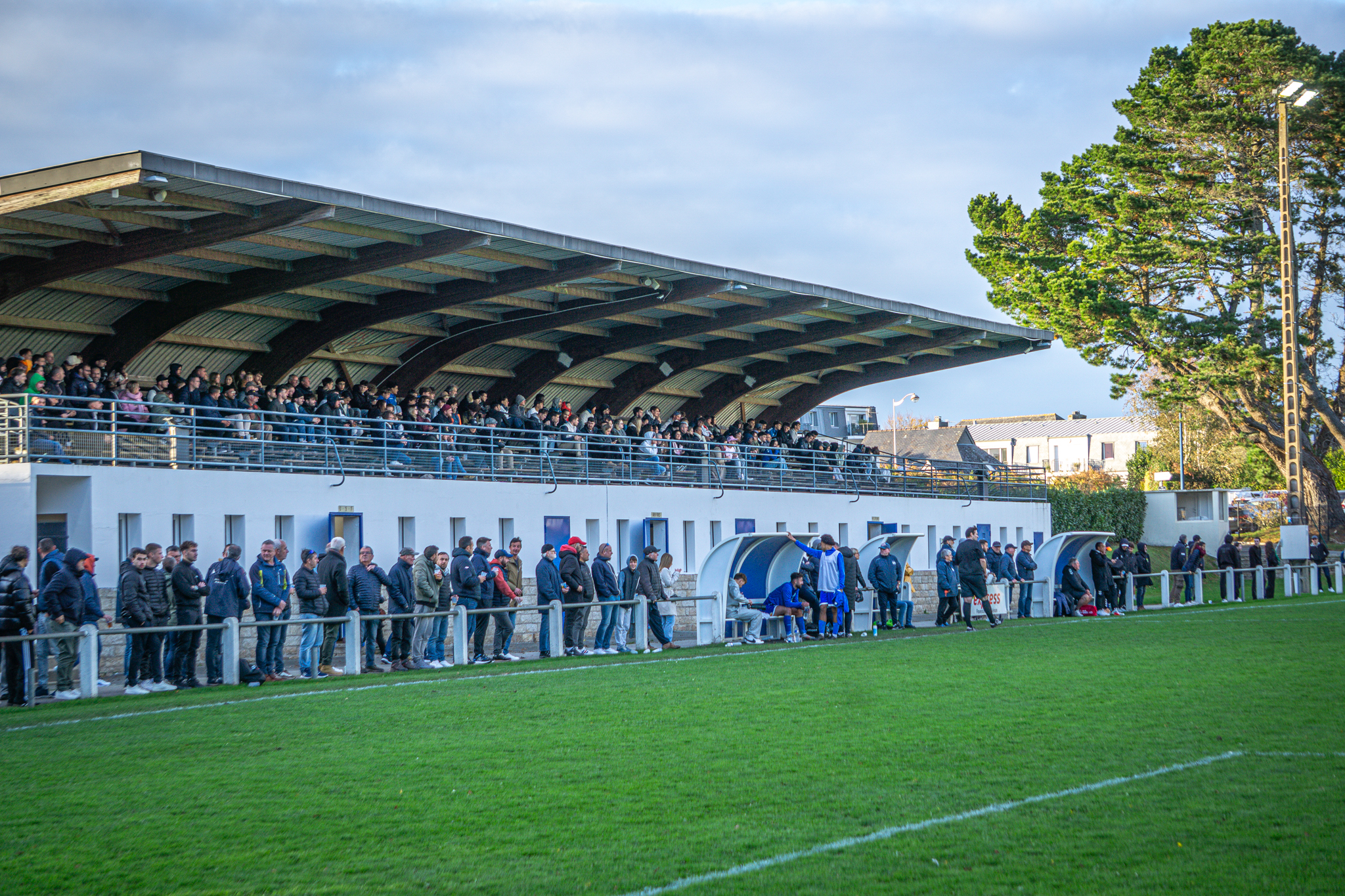 Sharko Visuals Portfolio