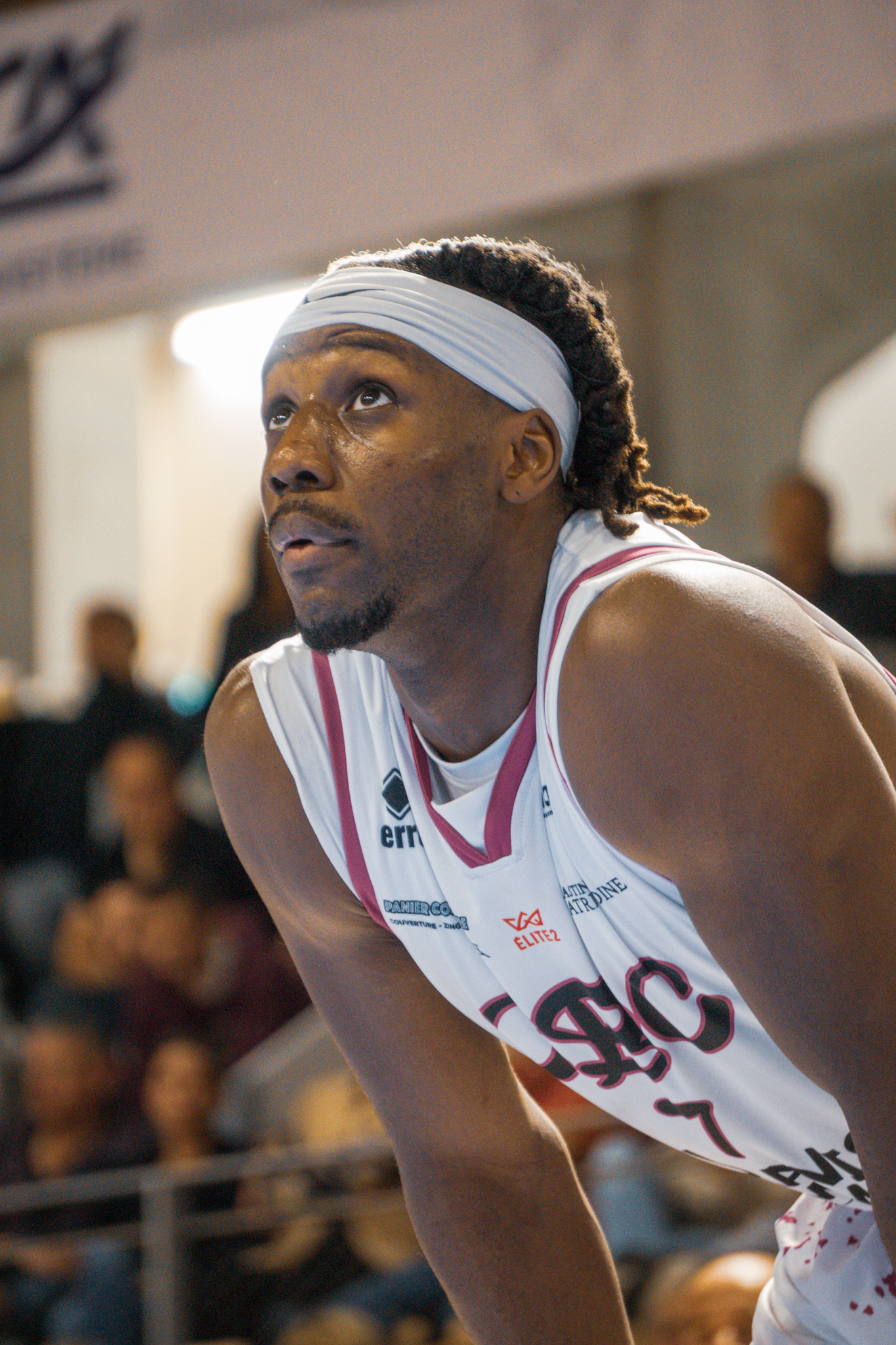 Sharko Visuals Portfolio