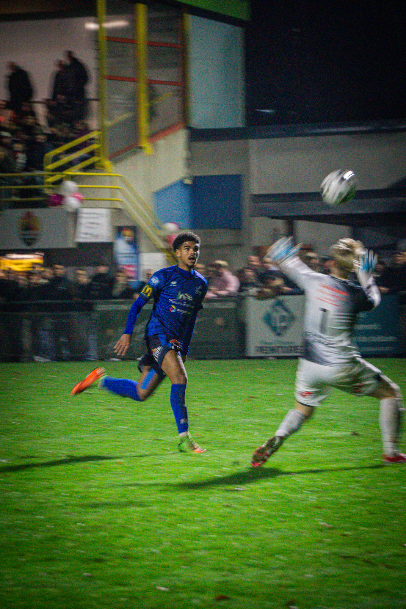 Sharko Visuals Portfolio