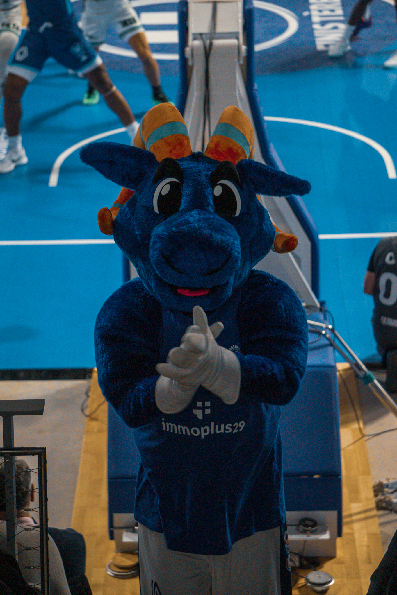 Sharko Visuals Portfolio