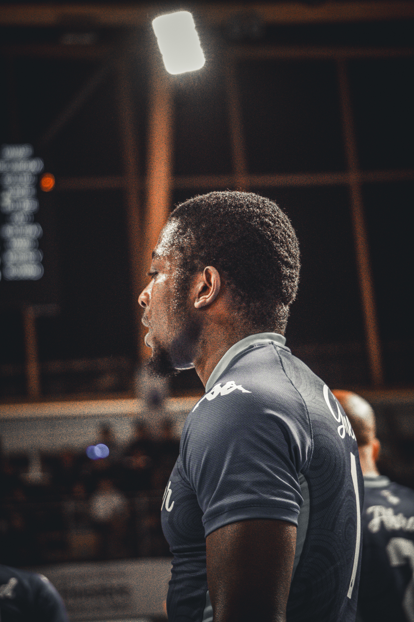 Sharko Visuals Portfolio